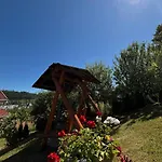 у софії * 볼로베츠
