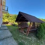 у софії * 볼로베츠