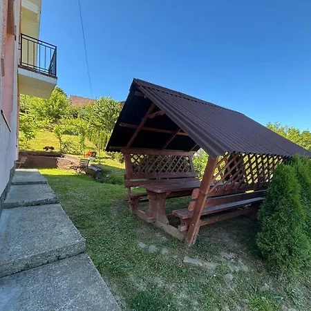 у софії * Volovets